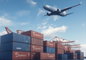 Por Qué Necesitas un Curso de Importaciones Antes de Empezar